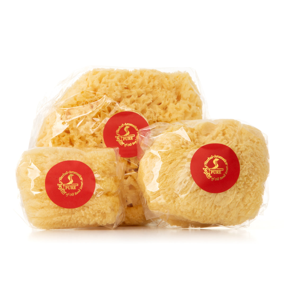 Large Sponge